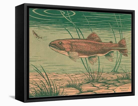 Woodcut of Rainbow Trout-null-Framed Stretched Canvas