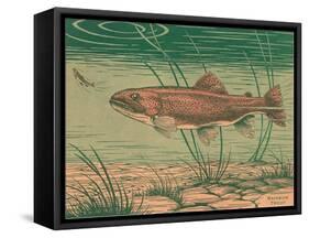 Woodcut of Rainbow Trout-null-Framed Stretched Canvas