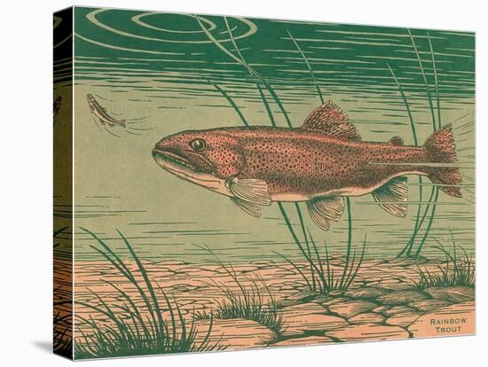 Woodcut of Rainbow Trout-null-Stretched Canvas