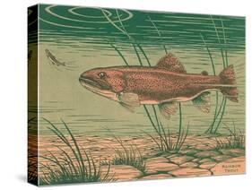 Woodcut of Rainbow Trout-null-Stretched Canvas