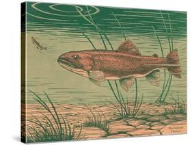 Woodcut of Rainbow Trout-null-Stretched Canvas