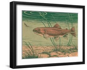 Woodcut of Rainbow Trout-null-Framed Art Print