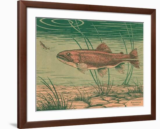 Woodcut of Rainbow Trout-null-Framed Art Print