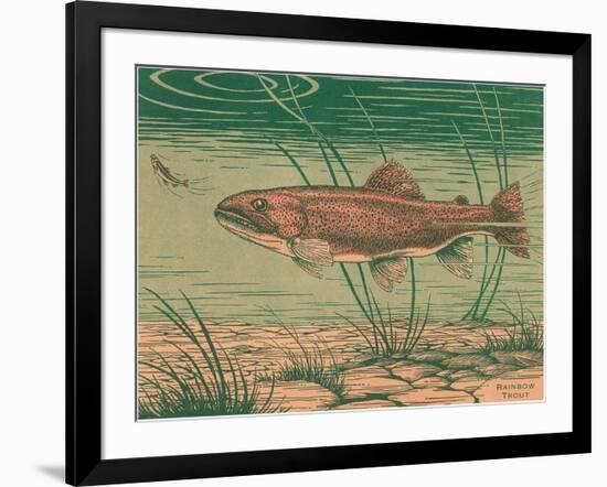 Woodcut of Rainbow Trout-null-Framed Art Print