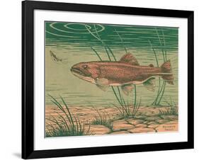 Woodcut of Rainbow Trout-null-Framed Art Print