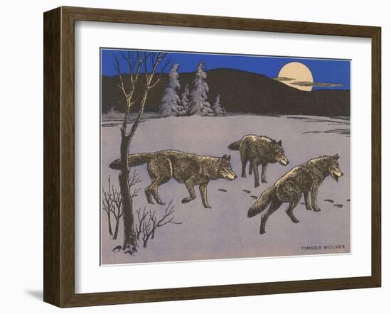 Woodcut of Timber Wolves-null-Framed Art Print