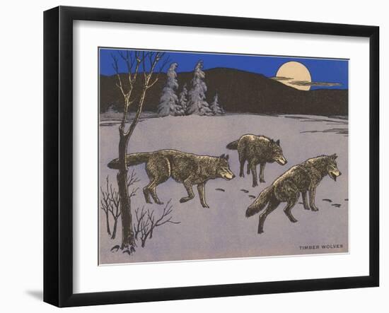 Woodcut of Timber Wolves-null-Framed Art Print