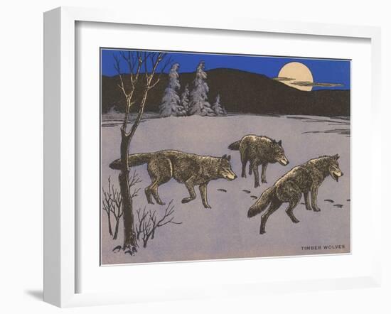 Woodcut of Timber Wolves-null-Framed Art Print