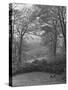 Wooded Area on Cliveden, Estate Owned by Lord William Waldorf Astor and Wife Lady Nancy Astor-Hans Wild-Stretched Canvas