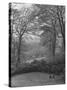 Wooded Area on Cliveden, Estate Owned by Lord William Waldorf Astor and Wife Lady Nancy Astor-Hans Wild-Stretched Canvas