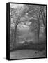 Wooded Area on Cliveden, Estate Owned by Lord William Waldorf Astor and Wife Lady Nancy Astor-Hans Wild-Framed Stretched Canvas