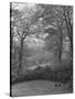 Wooded Area on Cliveden, Estate Owned by Lord William Waldorf Astor and Wife Lady Nancy Astor-Hans Wild-Stretched Canvas