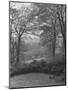 Wooded Area on Cliveden, Estate Owned by Lord William Waldorf Astor and Wife Lady Nancy Astor-Hans Wild-Mounted Photographic Print