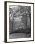 Wooded Area on Cliveden, Estate Owned by Lord William Waldorf Astor and Wife Lady Nancy Astor-Hans Wild-Framed Photographic Print