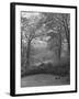 Wooded Area on Cliveden, Estate Owned by Lord William Waldorf Astor and Wife Lady Nancy Astor-Hans Wild-Framed Photographic Print