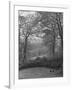 Wooded Area on Cliveden, Estate Owned by Lord William Waldorf Astor and Wife Lady Nancy Astor-Hans Wild-Framed Photographic Print