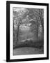 Wooded Area on Cliveden, Estate Owned by Lord William Waldorf Astor and Wife Lady Nancy Astor-Hans Wild-Framed Photographic Print