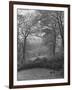 Wooded Area on Cliveden, Estate Owned by Lord William Waldorf Astor and Wife Lady Nancy Astor-Hans Wild-Framed Photographic Print