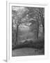 Wooded Area on Cliveden, Estate Owned by Lord William Waldorf Astor and Wife Lady Nancy Astor-Hans Wild-Framed Photographic Print