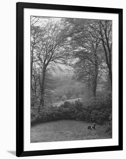 Wooded Area on Cliveden, Estate Owned by Lord William Waldorf Astor and Wife Lady Nancy Astor-Hans Wild-Framed Photographic Print