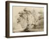 Wooded landscape, 1774-Francis Towne-Framed Giclee Print
