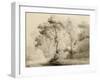 Wooded landscape, 1774-Francis Towne-Framed Giclee Print