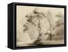 Wooded landscape, 1774-Francis Towne-Framed Stretched Canvas