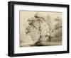 Wooded landscape, 1774-Francis Towne-Framed Giclee Print