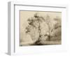 Wooded landscape, 1774-Francis Towne-Framed Giclee Print