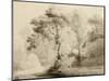 Wooded landscape, 1774-Francis Towne-Mounted Giclee Print