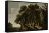 Wooded Landscape, c.1633-Jacob Jacobsz van Geel-Framed Stretched Canvas