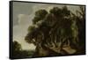 Wooded Landscape, c.1633-Jacob Jacobsz van Geel-Framed Stretched Canvas
