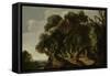 Wooded Landscape, c.1633-Jacob Jacobsz van Geel-Framed Stretched Canvas