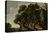 Wooded Landscape, c.1633-Jacob Jacobsz van Geel-Stretched Canvas