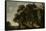 Wooded Landscape, Jacob Jacobsz Van Geel-Jacob Jacobsz van Geel-Framed Stretched Canvas