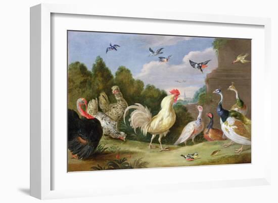 Wooded Landscape with a Cock, Turkey, Hens and Other Birds, 17th Century-Jan van Kessel the Elder-Framed Giclee Print