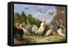 Wooded Landscape with a Cock, Turkey, Hens and Other Birds, 17th Century-Jan van Kessel the Elder-Framed Stretched Canvas