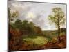 Wooded Landscape with a Cottage, Sheep and a Reclining Shepherd, c.1748-50-Thomas Gainsborough-Mounted Giclee Print