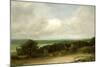 Wooded Landscape with a Ploughman-John Constable-Mounted Giclee Print