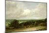 Wooded Landscape with a Ploughman-John Constable-Mounted Premium Giclee Print