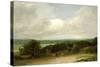 Wooded Landscape with a Ploughman-John Constable-Stretched Canvas