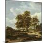 Wooded Landscape with Cornfields, C.1655-60-Jacob Isaaksz. Or Isaacksz. Van Ruisdael-Mounted Giclee Print