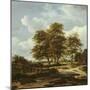 Wooded Landscape with Cornfields, C.1655-60-Jacob Isaaksz. Or Isaacksz. Van Ruisdael-Mounted Premium Giclee Print