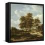 Wooded Landscape with Cornfields, C.1655-60-Jacob Isaaksz. Or Isaacksz. Van Ruisdael-Framed Stretched Canvas