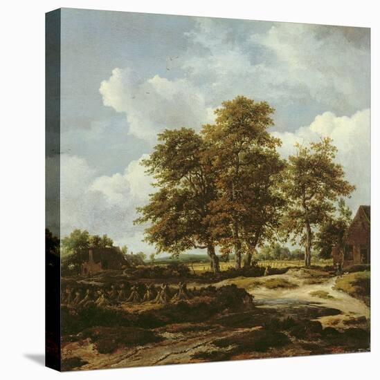 Wooded Landscape with Cornfields, C.1655-60-Jacob Isaaksz. Or Isaacksz. Van Ruisdael-Stretched Canvas