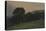 Wooded Landscape-Sir Charles Holroyd-Stretched Canvas