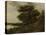 Wooded Landscape-Anthonie Waterloo-Stretched Canvas