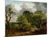 Wooded Landscape-Thomas Gainsborough-Mounted Giclee Print