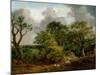 Wooded Landscape-Thomas Gainsborough-Mounted Giclee Print