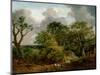 Wooded Landscape-Thomas Gainsborough-Mounted Giclee Print